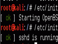 【linux】kali系统ssh服务开启 