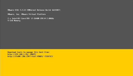 VMware ESXi 5.5设置