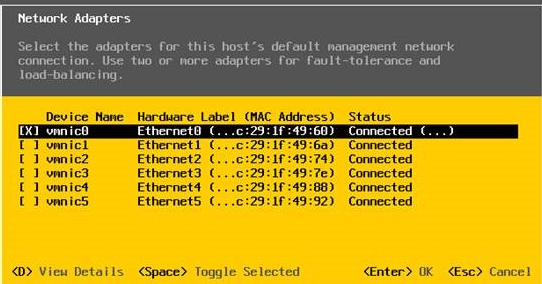 VMware ESXi 5.5设置