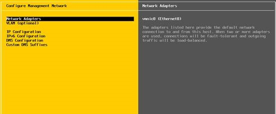VMware ESXi 5.5设置