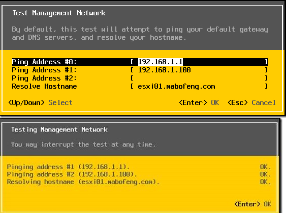 VMware ESXi 5.5设置