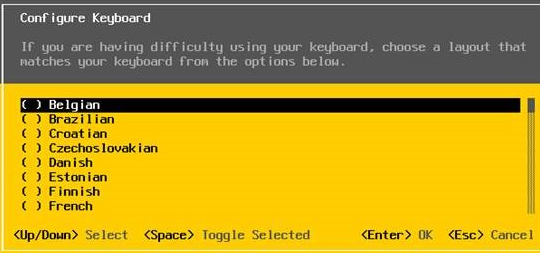 VMware ESXi 5.5设置