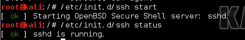 【linux】kali系统ssh服务开启 